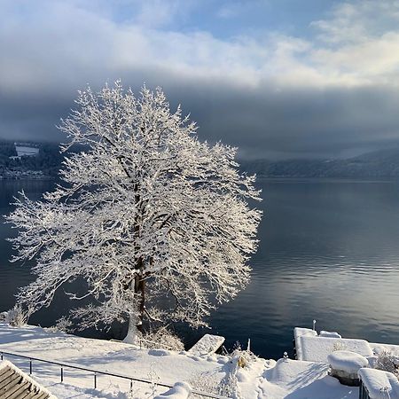 Seehaus Weiss Rothenthurn Luaran gambar