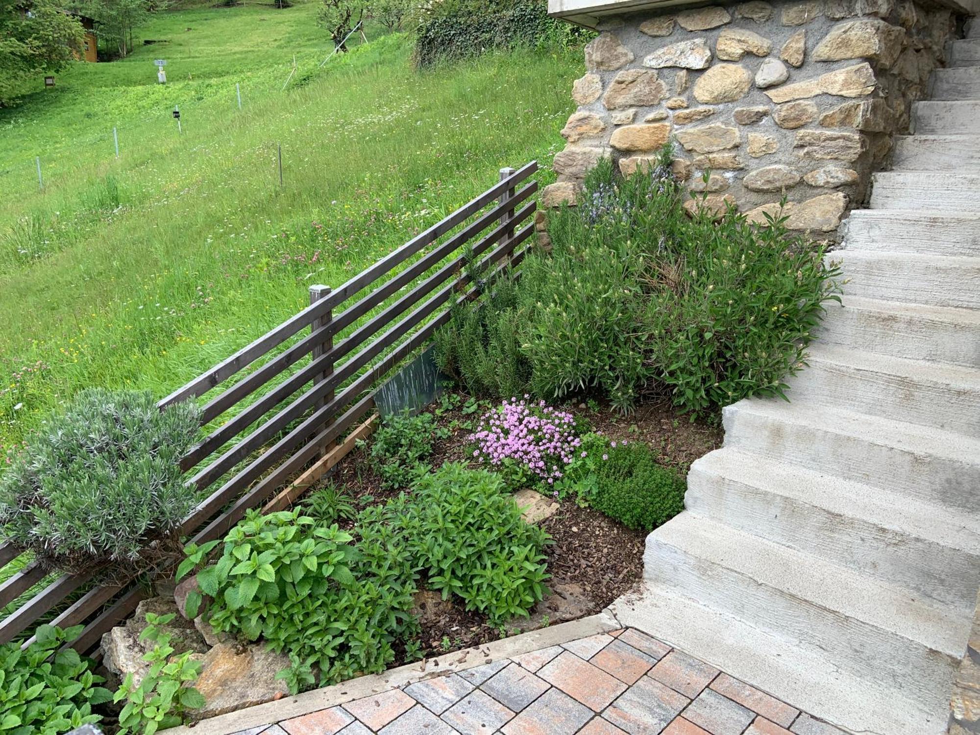 Seehaus Weiss Rothenthurn Luaran gambar